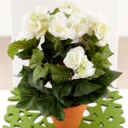 Begonia vit - Konstgjord växt