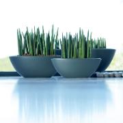 Pure® Soft Oval Antracit