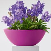 Pure® Soft Bowl Fuchsia