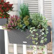 BALCONERA Cottage® antracit