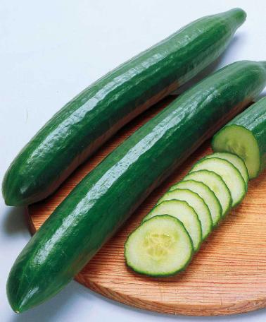 Salladsgurka 'Gemini 7 F:1 hybrid'
